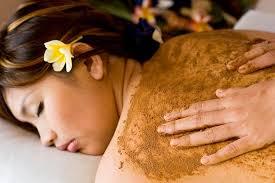 Pijat Panggilan Pontianak Pontianak West Kalimantan ~ Putri Spa. Putri Spa adalah sebuah komunitas jasa kebugaran online dengan pelayanan door to door, mempunyai misi untuk membantu kebugaran customer. Ada bermacam -macam jasa pelayanan di Putri Spamulai dari pijat panggilan tradisional, massage full body, teraphis kesehatan, dan