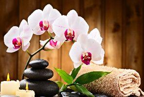 Spa Panggilan Solo Kabupaten Sukoharjo Jawa Tengah (Putri-Spa)